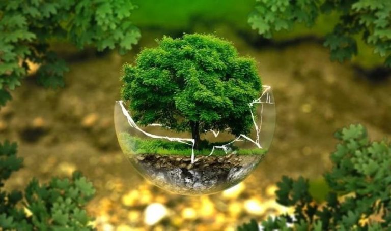 İklim Sözlüğü: Biyoçeşitlilik – Son Dakika Sürdürülebilirlik Haberleri