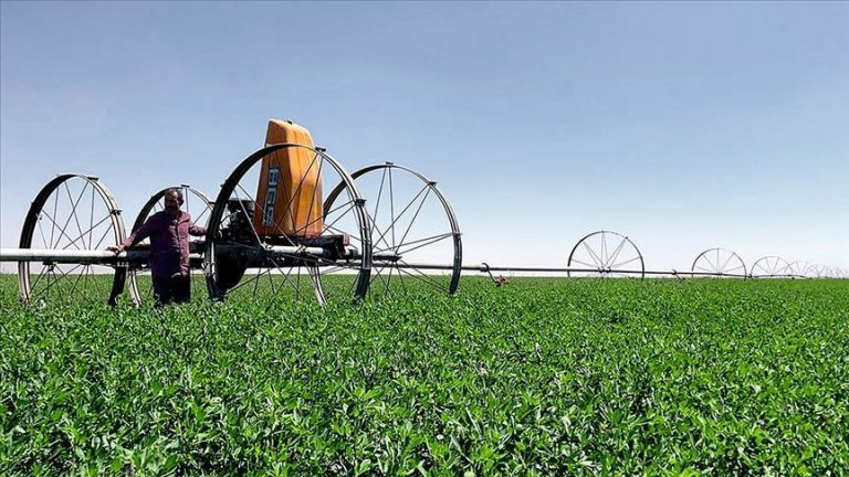 Kırsal Kalkınma Desteği 2025 Şartlar | Kırsal Kalkınma Yatırımları (KKYDP) için nasıl ve ne zaman destek talep edilir? Başkan Erdoğan’ın Tanımı: 18,5 milyar lira desteklenecek!