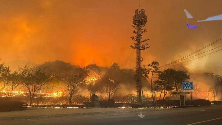 Güney Kore’deki orman yangınlarındaki ölümlerin sayısı 15’e yükseldi