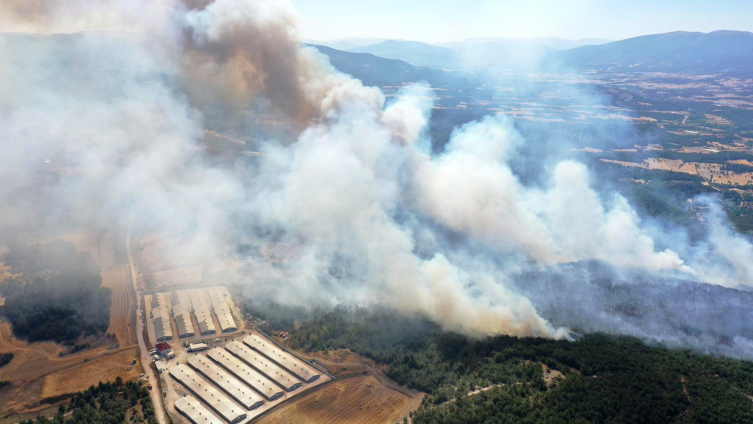 Fotoğraf: AA