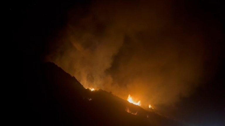 Hatay’da ağaçlık alanda yangın – Son Dakika Haberleri