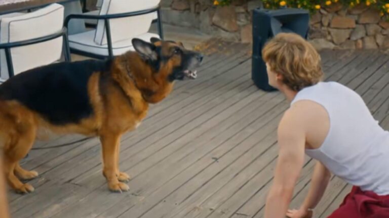 Daha 17’nin Teoman’ı köpek gibi davrandı! Ata Yaşat sosyal medyayı ikiye böldü